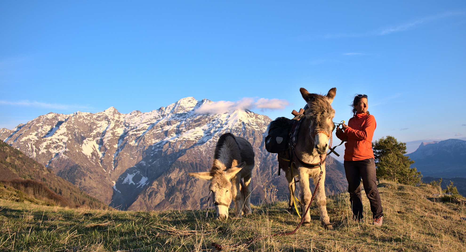 Randonnée avec un âne Écrins / Champsaur-Valgaudemar / Alpes
